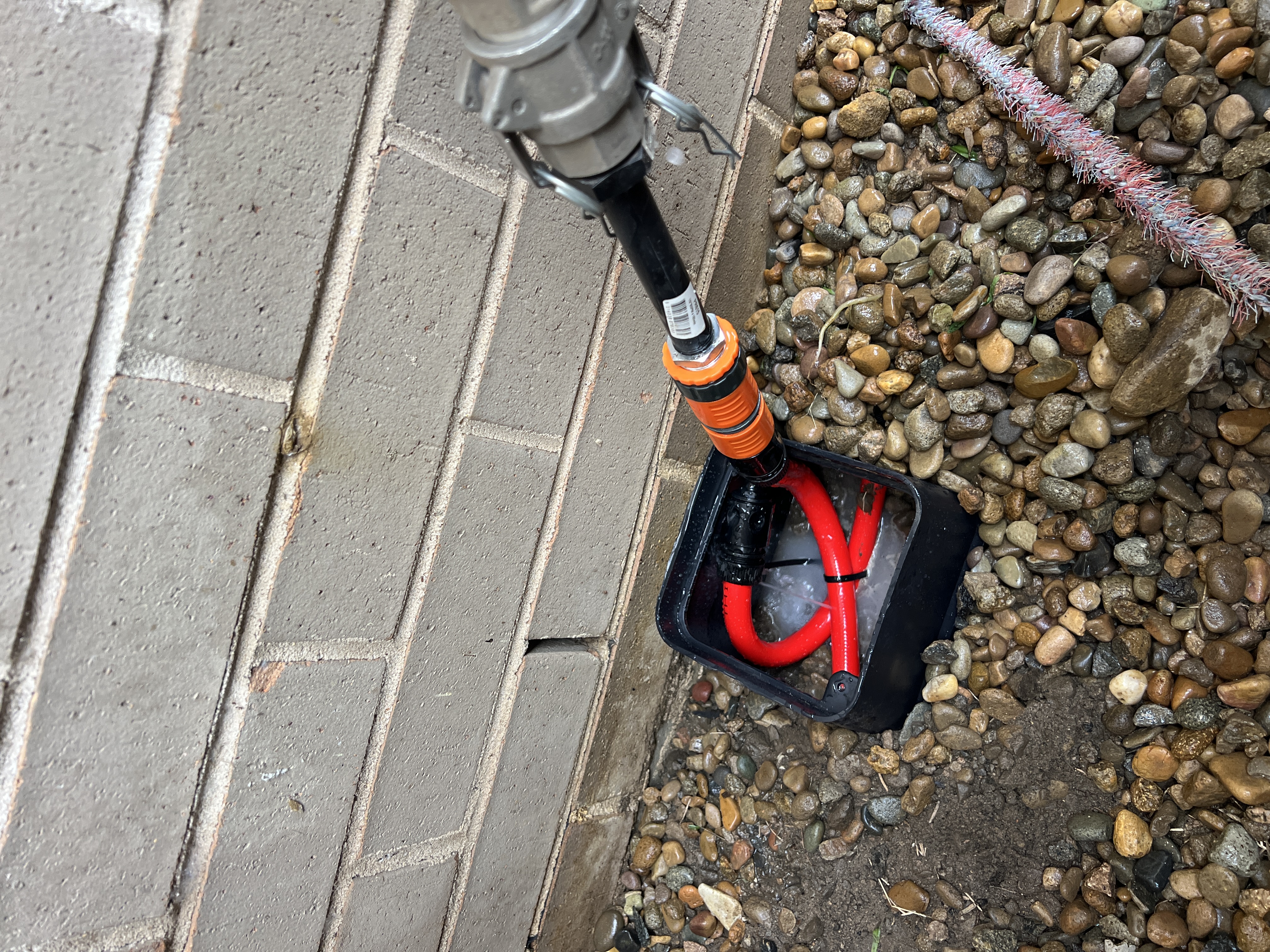 Detailed Termite Inspection
